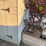 Bike shed made by BAUMANNS Image 3