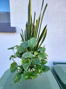 Indoor planter