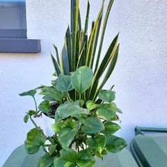 Indoor planter