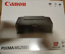Canon Pixma Mg2550s