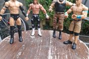 WWE Wrestlers