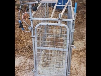 Sheep Weight Scales For Sale in Clonard, Meath from emmag25