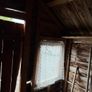 free shed Image 4