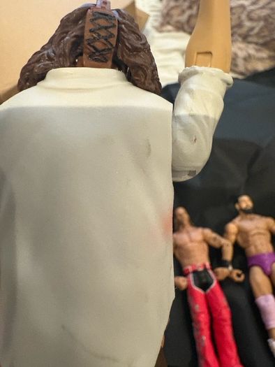 WWE Legends Wrestling Figures