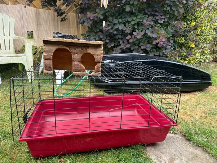 Hutch for guinea pigs etc