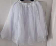 hen party tulle skirt