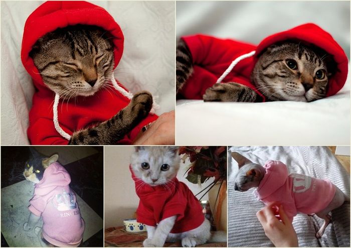 NEW dog/cat winter hoodies in SMALL & LARGE sizes
