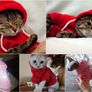 NEW dog/cat winter hoodies in SMALL & LARGE sizes Image 6