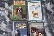 4 book lot on the Cavalier King Charles Spaniels