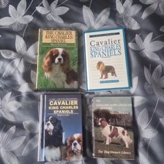 4 book lot on the Cavalier King Charles Spaniels