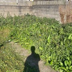 Gardening and maintenance and diy