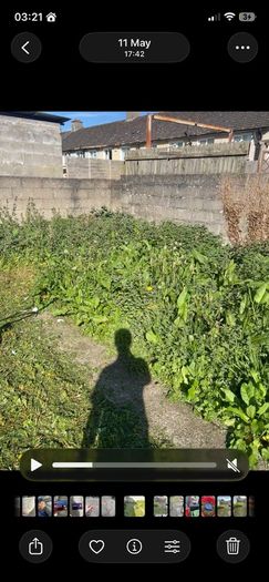 Gardening and maintenance and diy