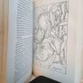 The Living Garden or The How & Why of Garden Life by E. J. Salisbury (HQ183) Image 5