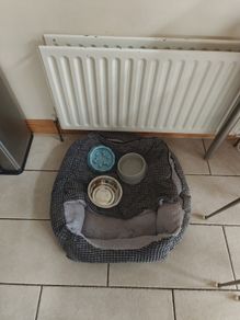 Dog bed and bowls