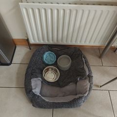Dog bed and bowls