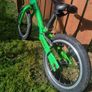 Balance Bike (frog ) Image 3