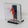 LEGO Rare The Art Of The Brick By Nathan Sawaya Lego Printed Museum Exhibit Limited Edition Promo Printed On A Lego Plastic Glass Window The Red Brick Man Image 4