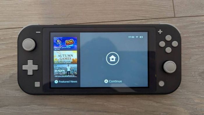 Nintendo switch lite