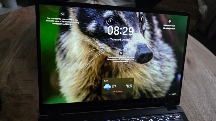 asus ProArt PX13