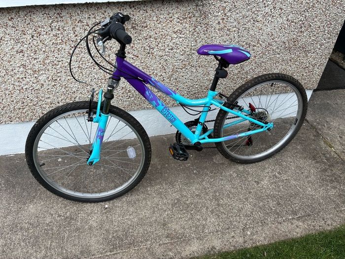 Girls Apollo Mountain Bike