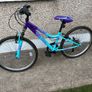 Girls Apollo Mountain Bike Image 5