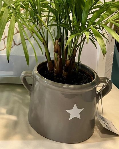 Grey Ceramic Vase with Star Motif and Handles (new)