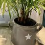 Grey Ceramic Vase with Star Motif and Handles (new) Image 4