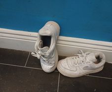 trainers