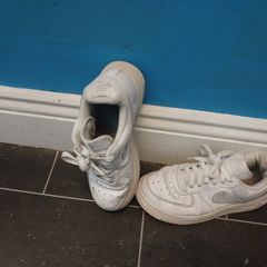 trainers