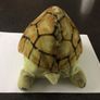 Turtle/Tortoise Soft toy - Vintage Image 3