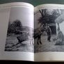 The Great Famine Ireland 's potato famine 1845-51 Irish history Image 3
