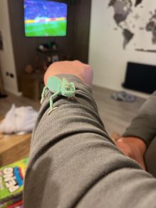 Baby Female Yemen Chameleon 3 Months Old