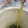 planter Image 5