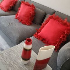 Beautiful Red Cushions