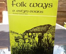 Irish Folk Ways