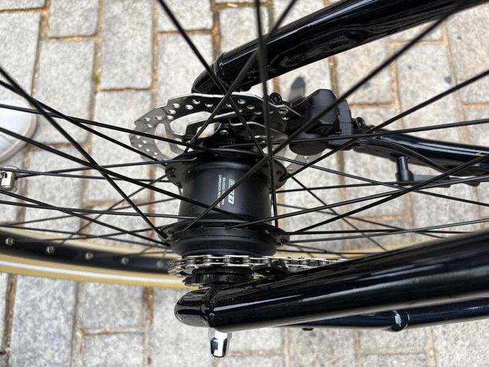 Brand New GIANT Momentum Electric Bike