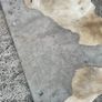 large Deer Hide skin Image 4