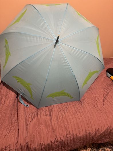 umbrella