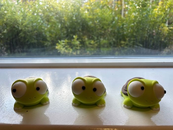 Goofy eyed turtles