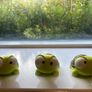 Goofy eyed turtles Image 3