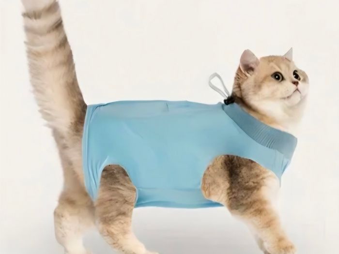 Sky blue cat onesie/recovery suit