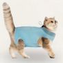 Sky blue cat onesie/recovery suit Image 3