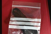 Shoehorn. Brand New. Free Postage!