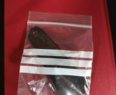 Shoehorn. Brand New. Free Postage!