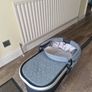 Upper Vista Buggy Image 3