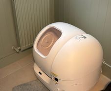 Automatic cat litter box