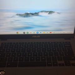 Asus Chromebook Plus Cx3402