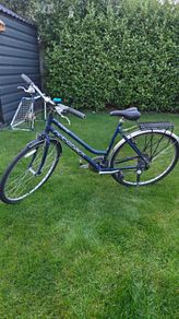 Ladies Ridgeback Motion Adult Bike - Blue