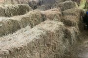 Hay bales