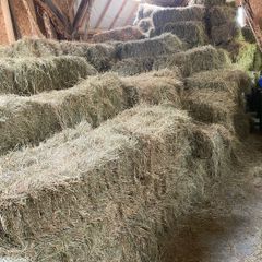 Hay bales
